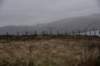dsc_8891_fs_small.jpg