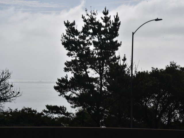 dsc_8931_fs.jpg
