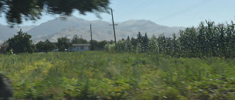 dsc_9065_fs.jpg