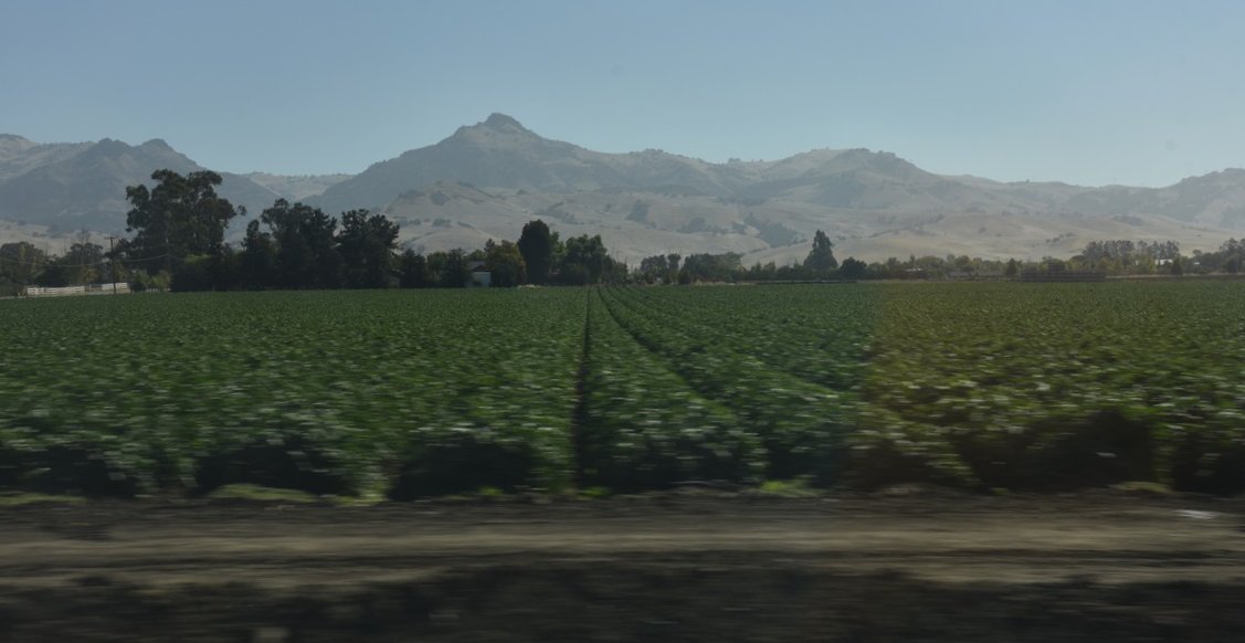 dsc_9067_fs.jpg