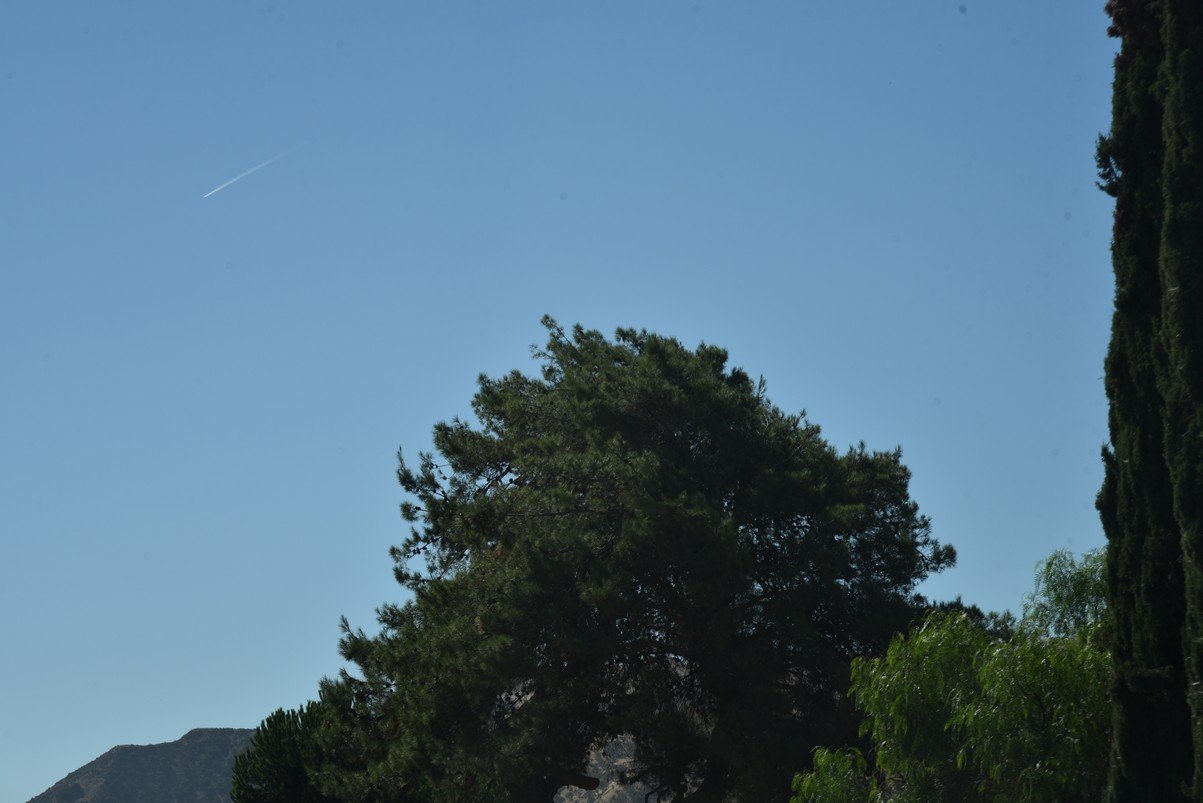 dsc_9080_fs.jpg