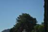 dsc_9080_fs_small.jpg