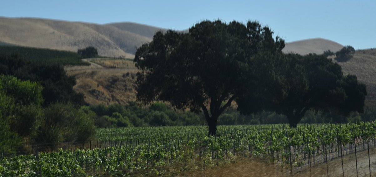 dsc_9084_fs.jpg