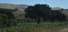 dsc_9084_fs_small.jpg