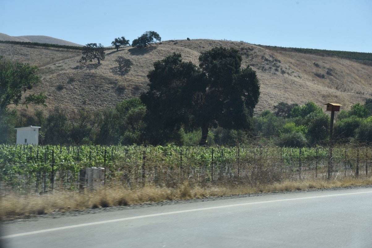 dsc_9085_fs.jpg