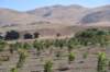 dsc_9086_fs_small.jpg
