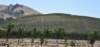 dsc_9090_fs_small.jpg