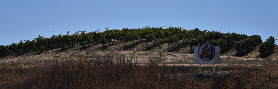 dsc_9092_fs.jpg