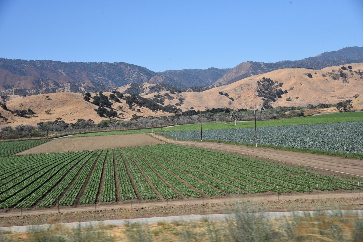 dsc_9095_fs.jpg