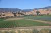 dsc_9095_fs_small.jpg