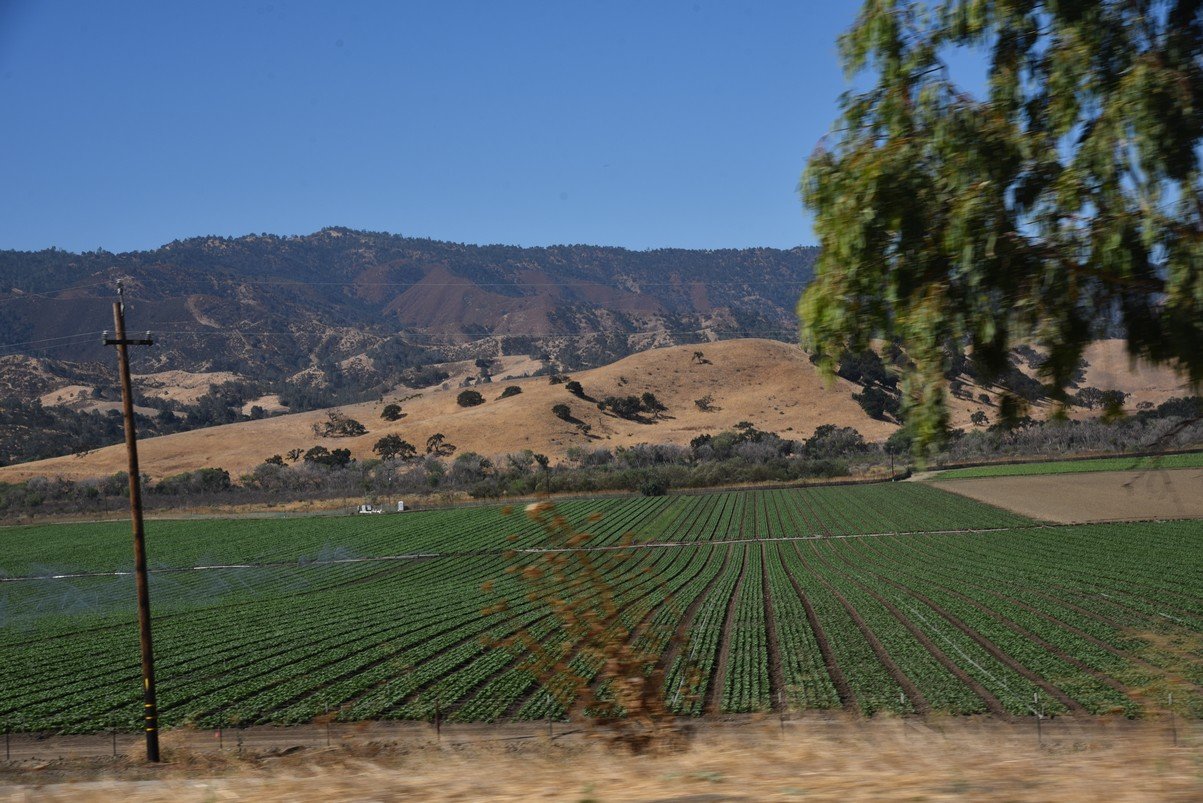 dsc_9096_fs.jpg