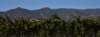 dsc_9101_fs_small.jpg