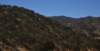 dsc_9110_fs_small.jpg