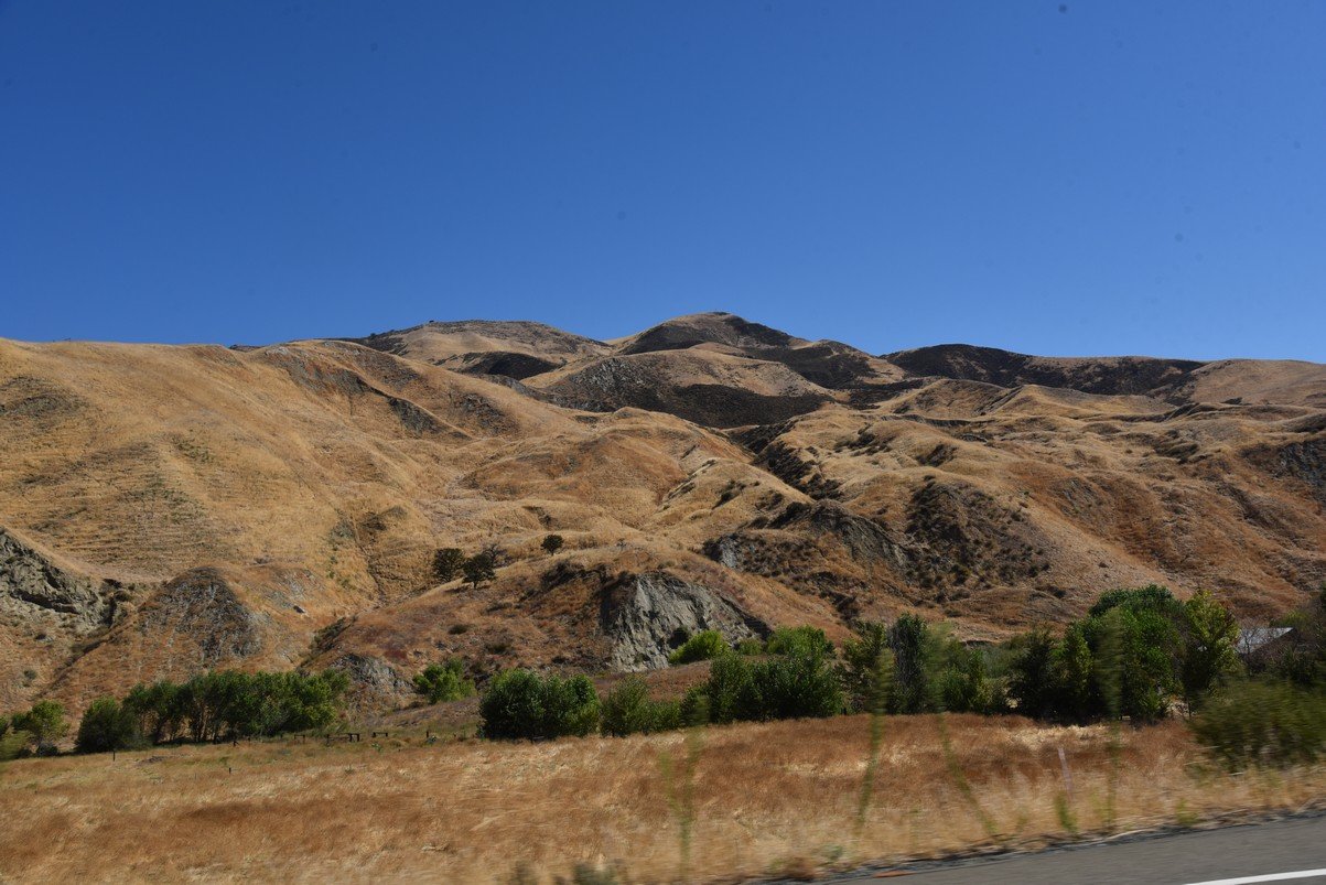 dsc_9121_fs.jpg