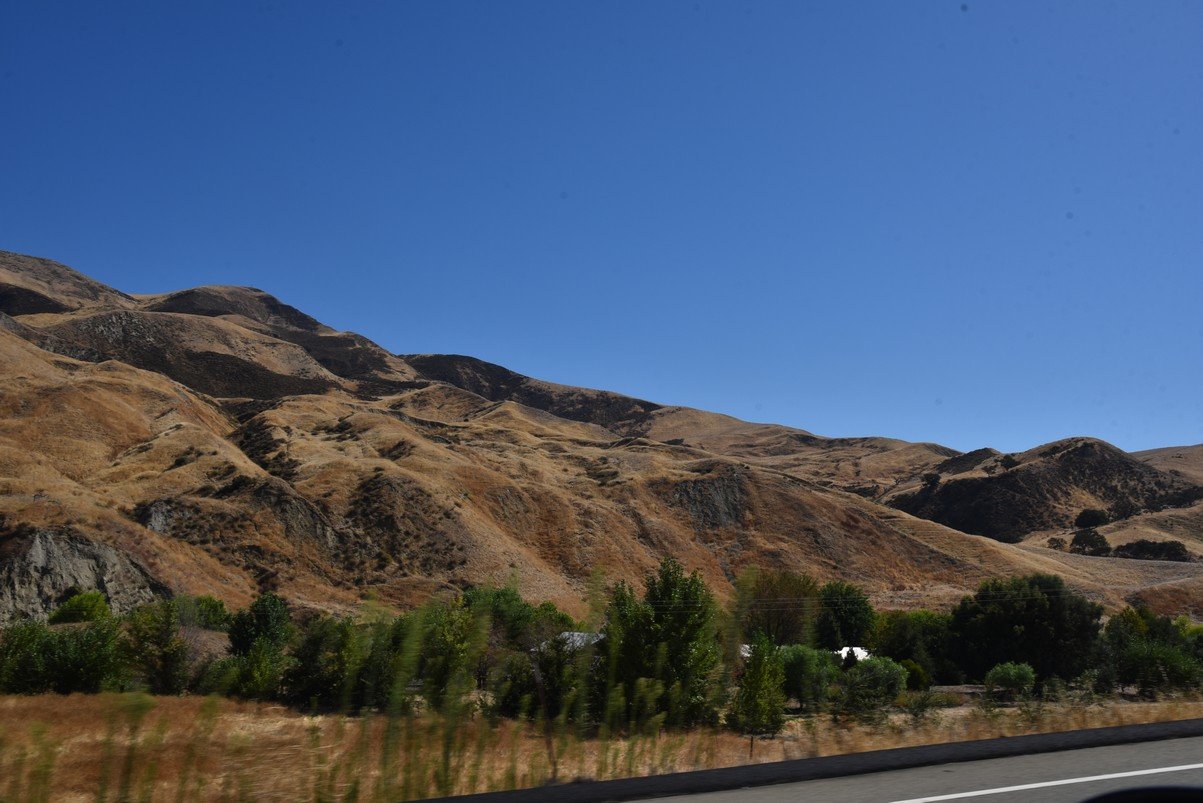 dsc_9122_fs.jpg