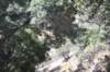 dsc_9140_fs_small.jpg