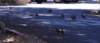 dsc_9141_fs_small.jpg