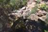dsc_9147_fs_small.jpg