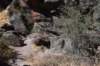 dsc_9152_fs_small.jpg