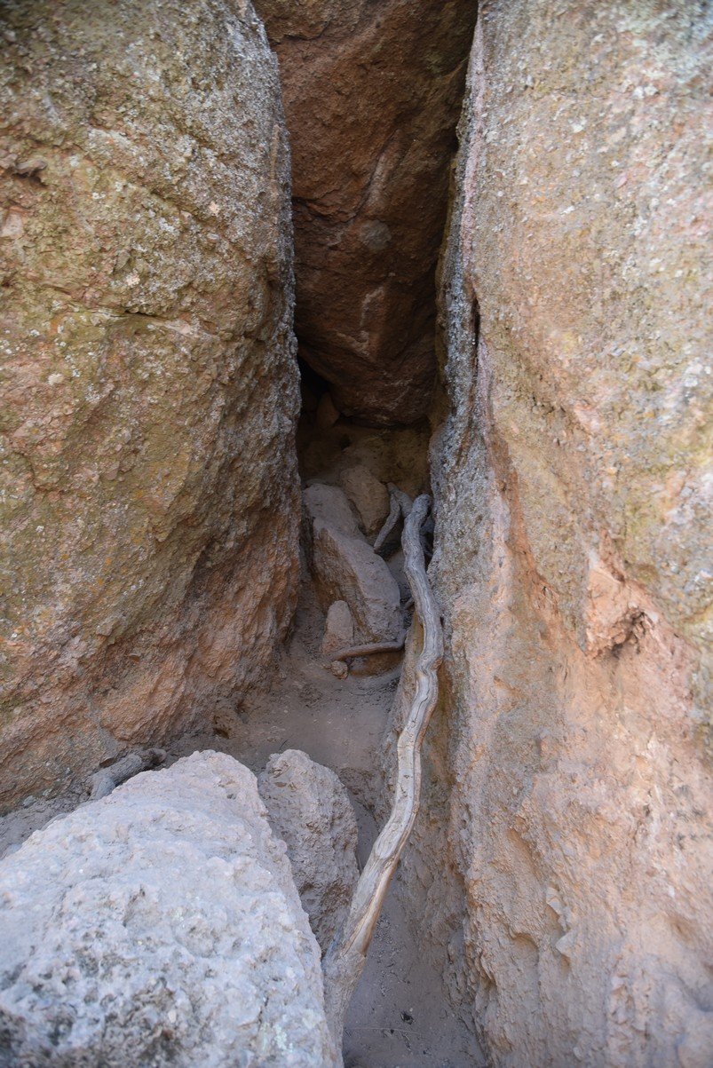 dsc_9154_fs.jpg