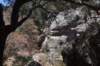 dsc_9155_fs_small.jpg