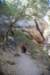 dsc_9157_fs_small.jpg