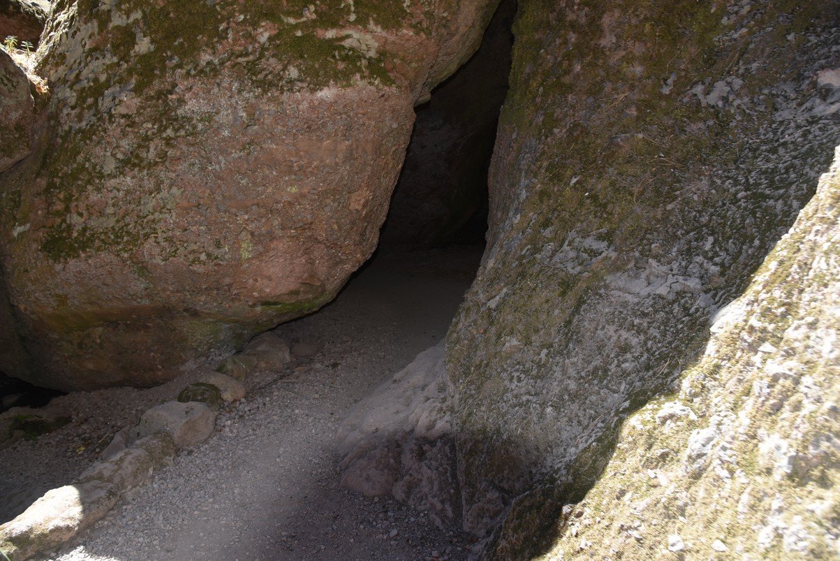 dsc_9165_fs.jpg