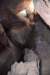dsc_9188_fs_small.jpg