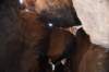 dsc_9191_fs_small.jpg