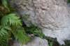 dsc_9197_fs_small.jpg