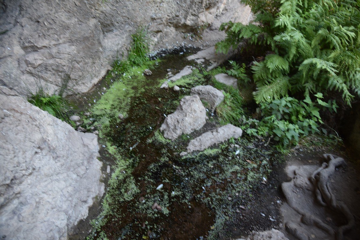 dsc_9199_fs.jpg