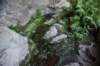 dsc_9199_fs_small.jpg