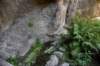 dsc_9200_fs_small.jpg