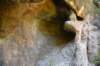 dsc_9201_fs_small.jpg