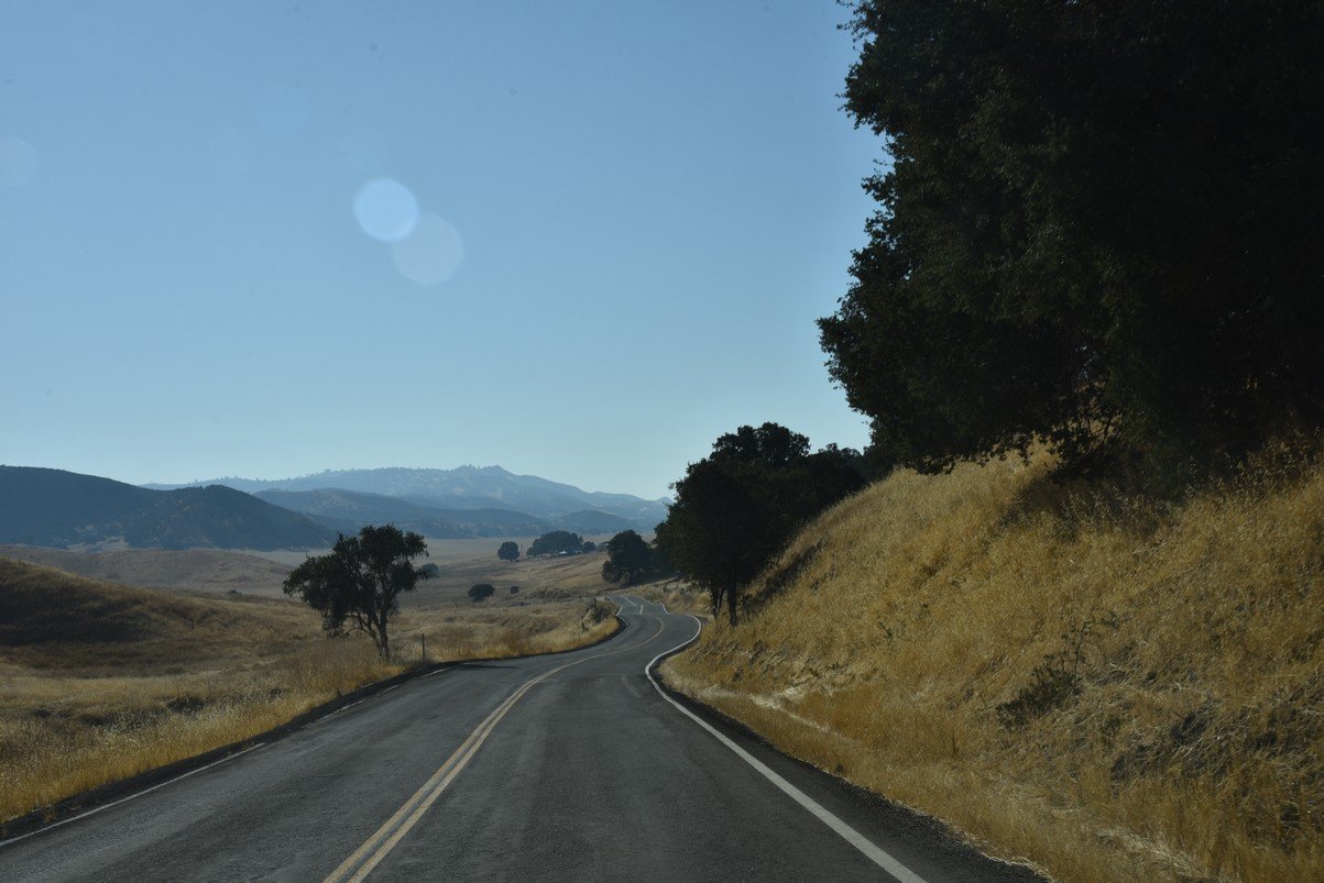 dsc_9341_fs.jpg