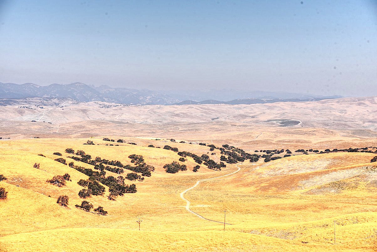 dsc_9370_fs_det.jpg