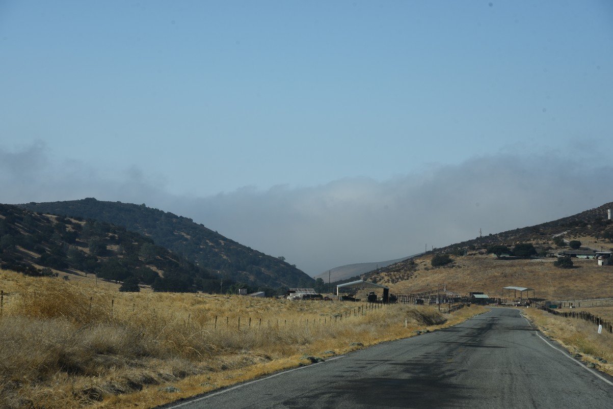 dsc_9373_fs.jpg