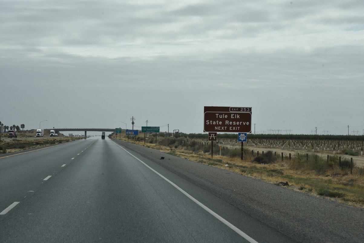 dsc_9598_fs.jpg