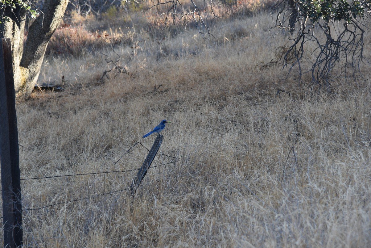 dsc_9642_fs.jpg