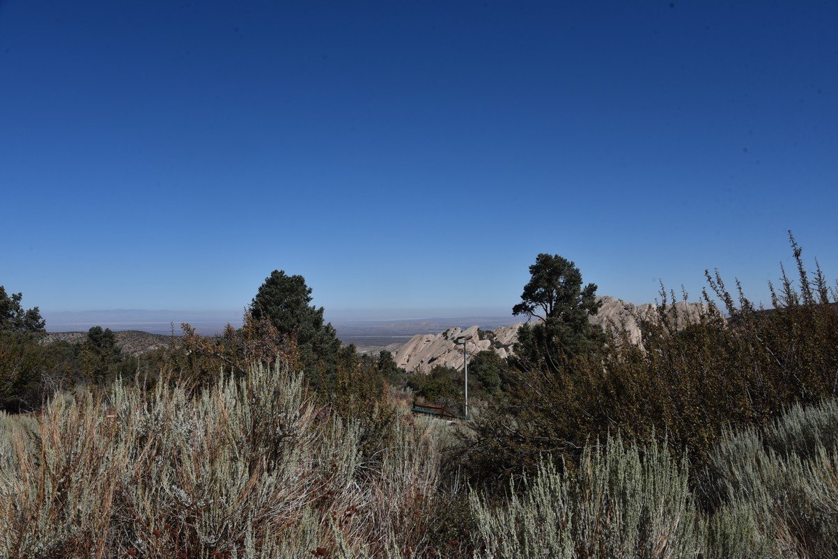 dsc_9781_fs.jpg