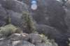 dsc_9857_fs_small.jpg