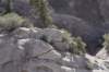 dsc_9858_fs_small.jpg