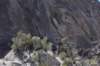 dsc_9862_fs_small.jpg