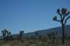 dsc_9926_fs_small.jpg