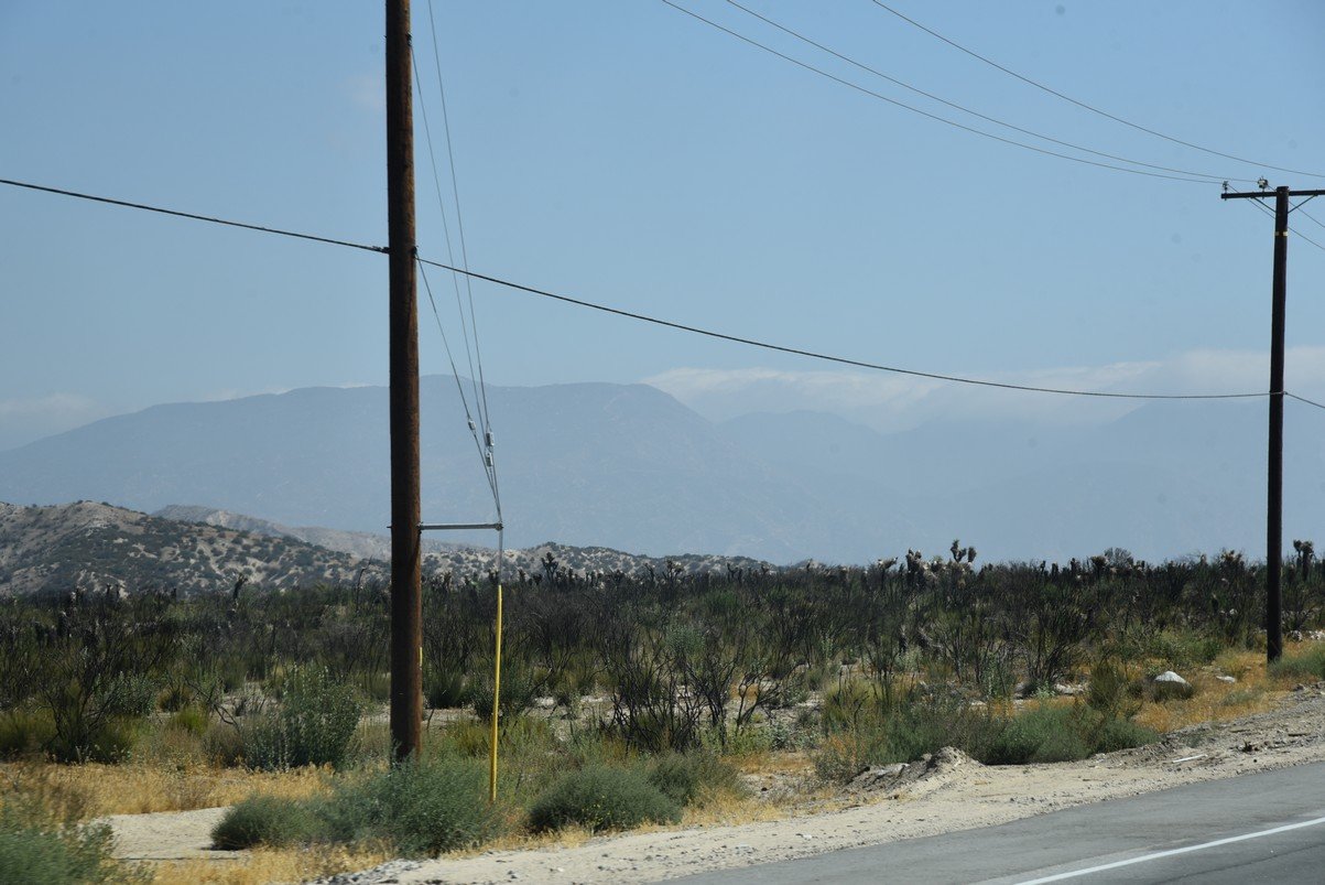 dsc_9928_fs.jpg