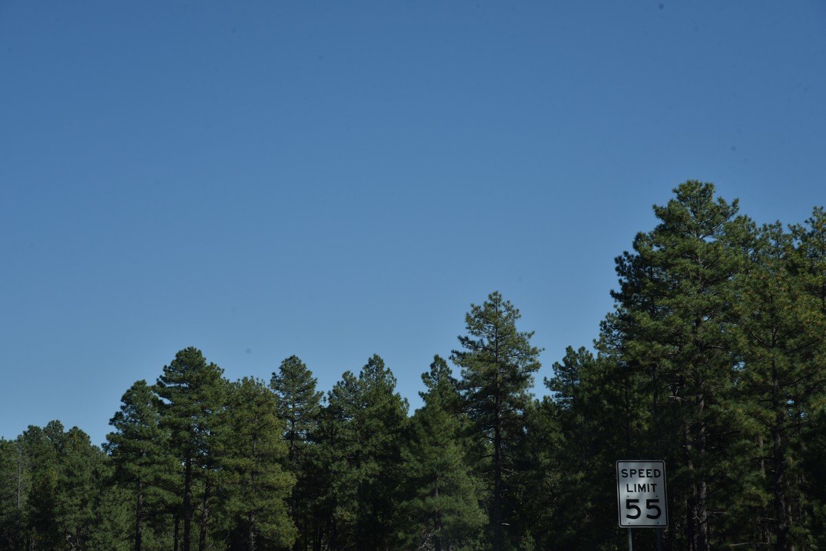 dsc_0053_fs.jpg