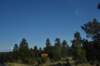 dsc_0058heberobergaard_small.jpg