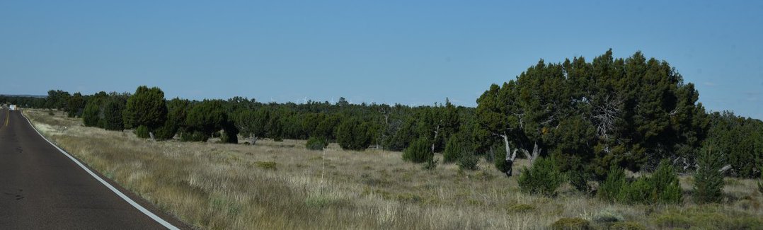 dsc_0074_fs.jpg