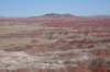 dsc_0119_fs_small.jpg