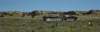 dsc_0165_fs_small.jpg